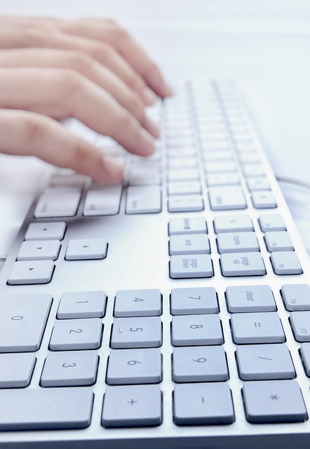 hands-typing-2654109_640